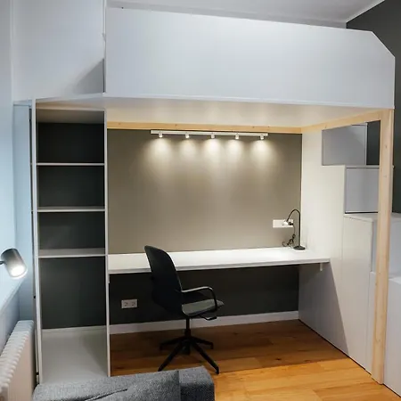 Apartment Quiet Loft With Ac Location New